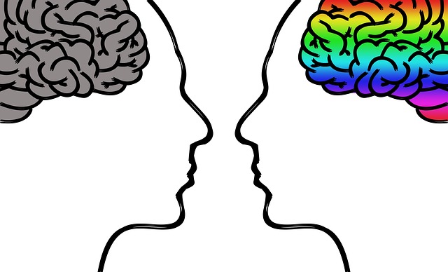 Psico Neuro Endocrino Immunologia