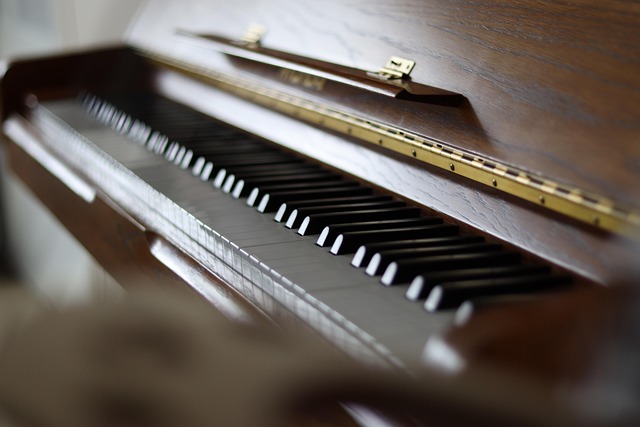 musicista