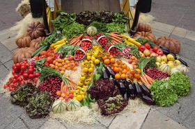 L'alimentazione vegetariana | Noi Mamme