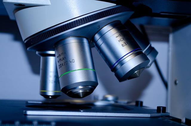 Spore nel sedimento urine
