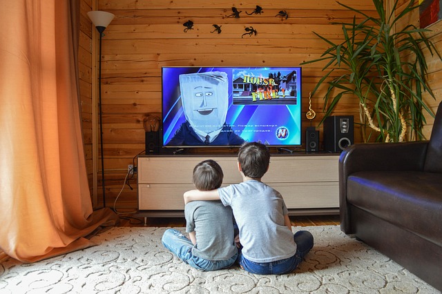 Sulla televisione