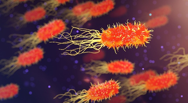 Infezione da candida