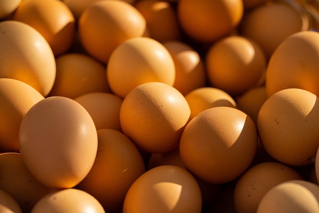Proteine e corretta alimentazione