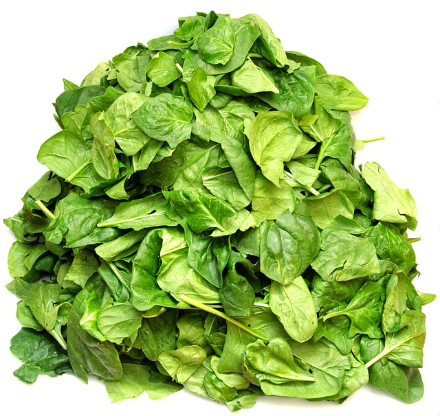 Cibi ricchi di ferro