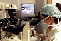 Notizie dal mondo scientifico:  fertilità, gravidanza, parto, infanzia | Noi Mamme