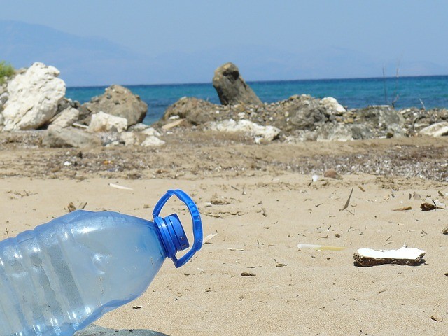 Debellare l'inquinamento causato dalla plastica con la tarma indiana | Noi Mamme 2