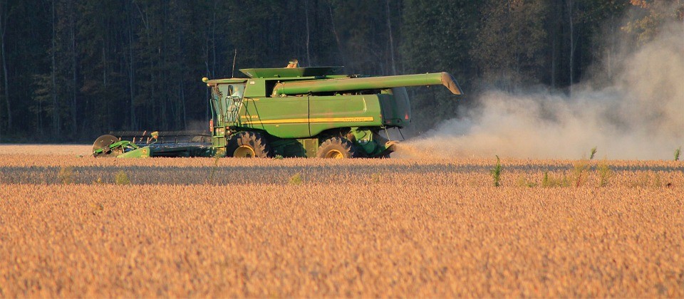 Da Uppa: Glifosato: posizioni a confronto | Noi Mamme