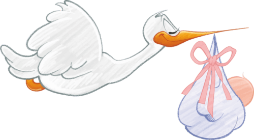 Cerco un bimbo Cerco un bimbo