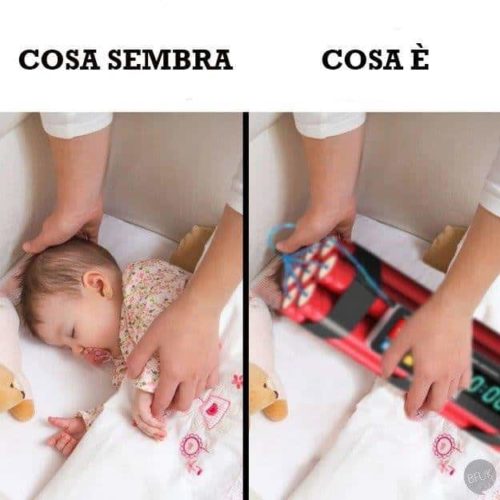 meme cosa sembra