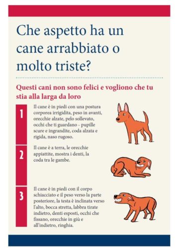 Cani e bambini: le regole d'oro per una convivenza felice e senza rischi