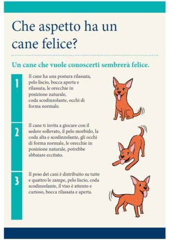 Cani e bambini: le regole d'oro per una convivenza felice e senza rischi