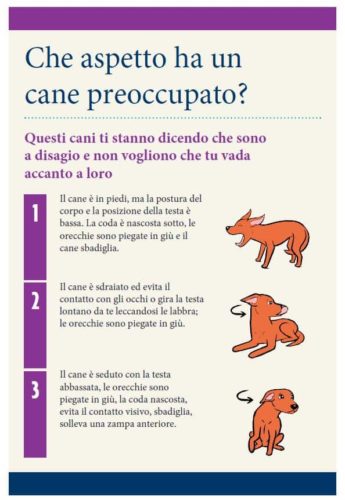 Cani e bambini: le regole d'oro per una convivenza felice e senza rischi