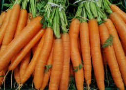 Alimentazione sana e Smart Working: 7 ricette healthy per combattere lo stress da quarantena