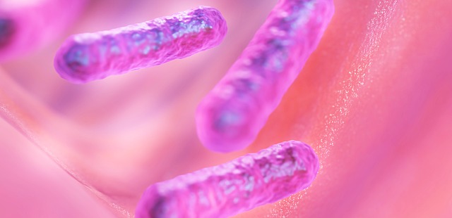 Bacillo di Döderlein nel Pap Test: Cosa Significa e Come Prendersi Cura della Propria Flora Vaginale