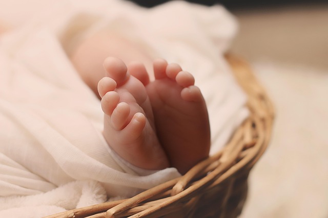 Svezzamento Sereno: Guida Completa per Affrontare l'Asilo Nido