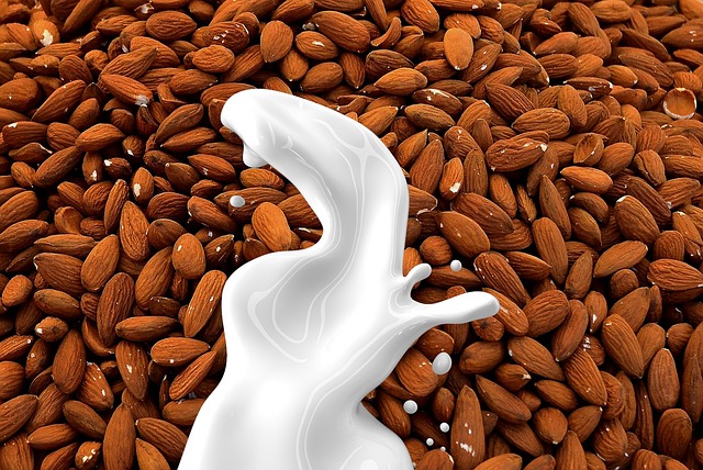 Alternativa al Latte: Guida Completa per Intolleranti e Allergici