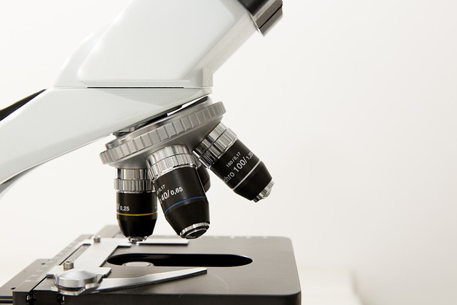 Noduli al Seno: Guida Completa per la Diagnosi e la Prevenzione