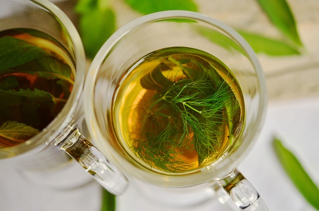 Tisana ai semi di finocchio: benefici e usi per la digestione