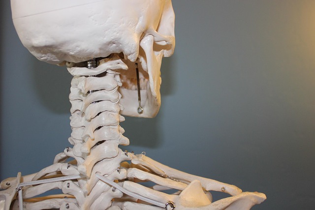 Interpretazione Referto Radiologico: Guida Definitiva