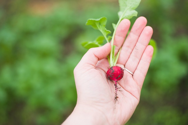 Alimentazione e Crescita del Bambino: Guida Completa per Genitori