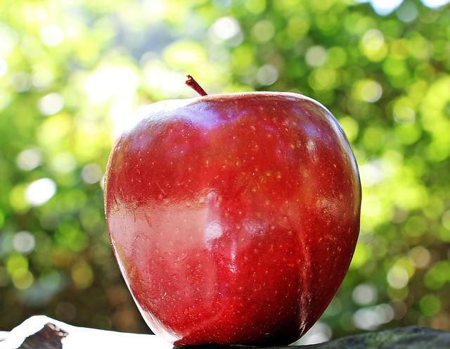 Frutta per Neonati: Fresca o Omogeneizzata? Guida Completa