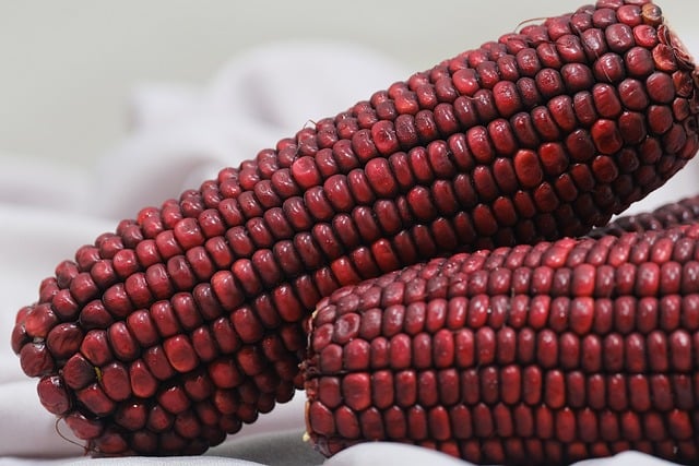 Stitichezza nei bambini: Alimenti consigliati e dieta equilibrata