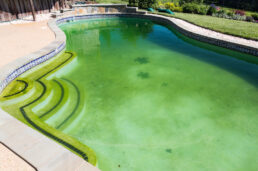 acqua verde piscina
