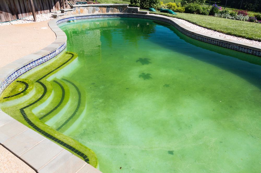 acqua verde piscina