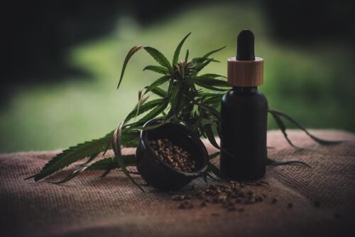 Olio di cbd