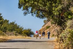 Parco dell’Aveto con bambini: sentieri facili, cavalli selvaggi e natura da vivere insieme