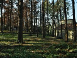 Famiglia nel bosco: i bambini ascoltati dal tribunale, la scuola pubblica al centro della decisione