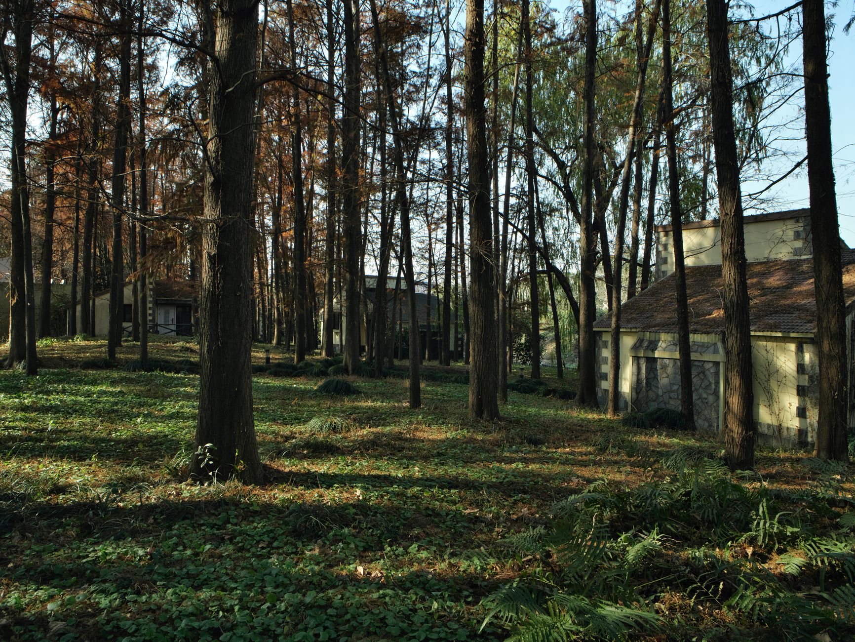 Famiglia nel bosco: i bambini ascoltati dal tribunale, la scuola pubblica al centro della decisione