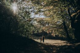 Foliage in Piemonte con i bambini: trenini panoramici, castelli e labirinti tra i colori d'autunno