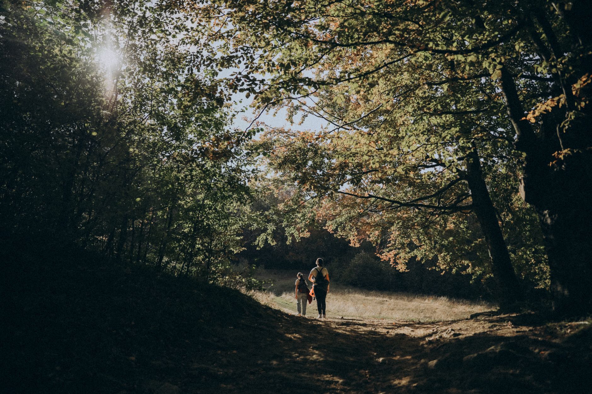 Foliage in Piemonte con i bambini: trenini panoramici, castelli e labirinti tra i colori d'autunno
